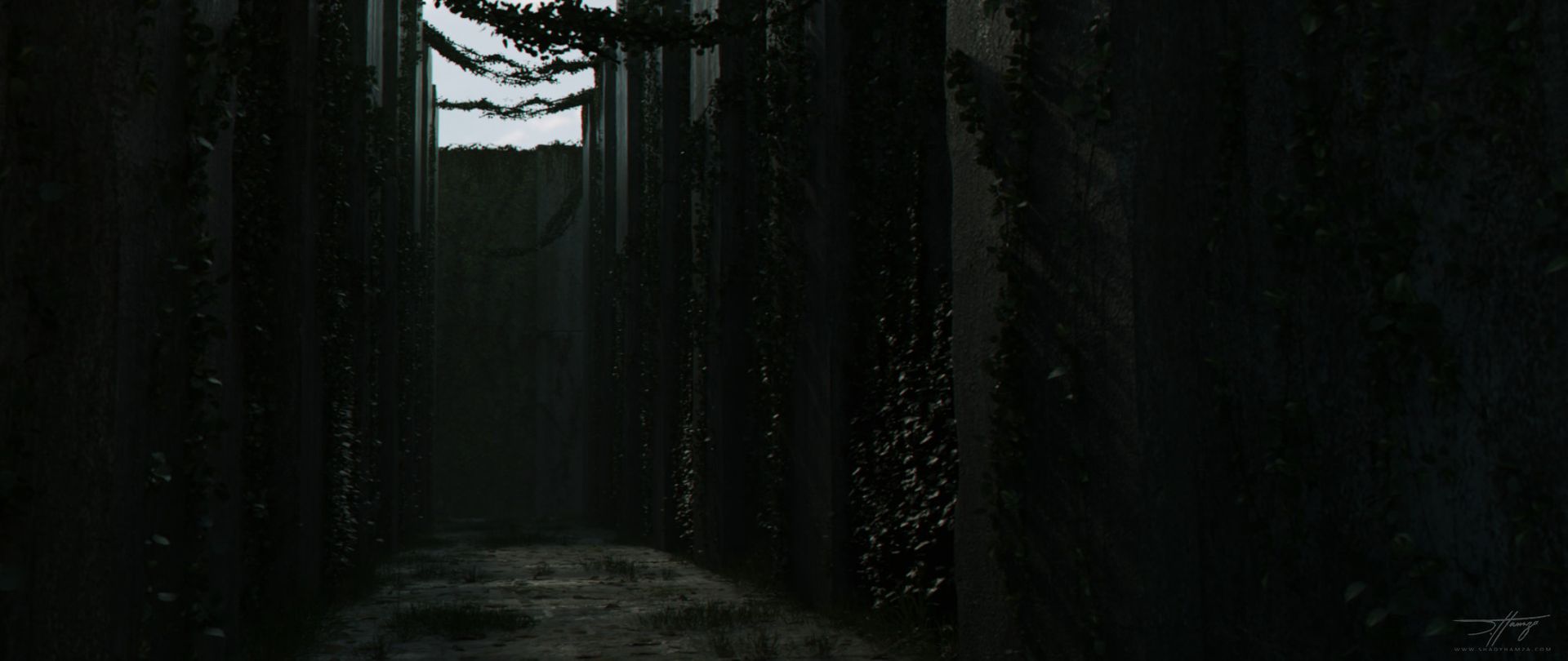 Shady Hamza_Maze Runner 03 Shady Hamza_Maze Runner 03