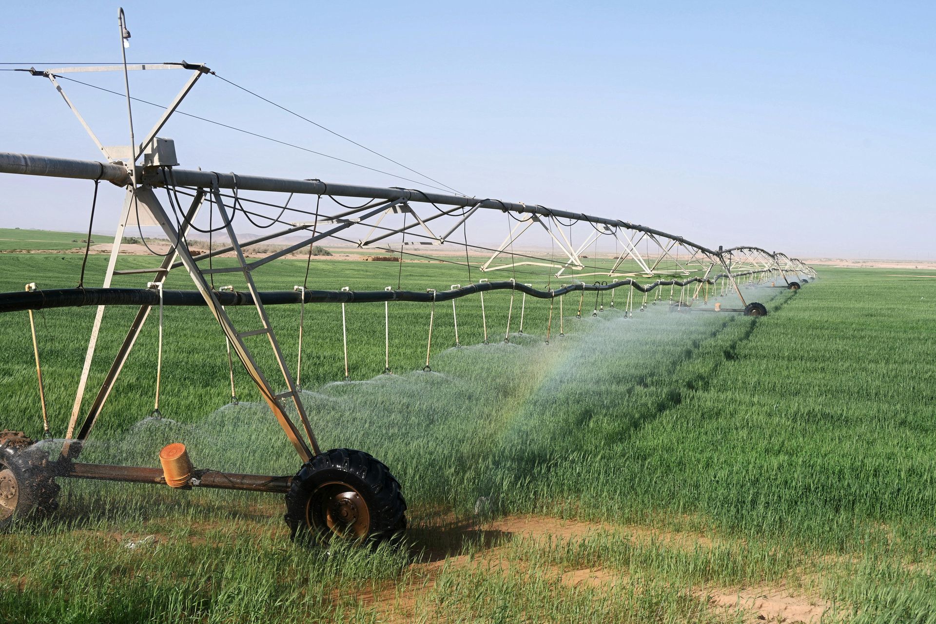Traditional Irrigation Spray Traditional Irrigation Spray