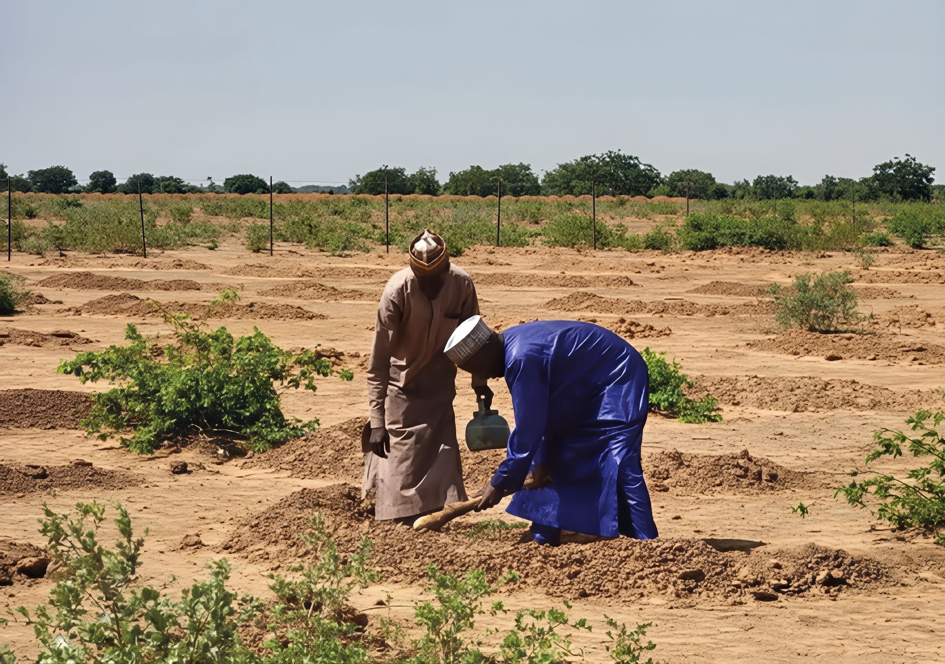 Traditional Desert Restoration Work Traditional Desert Restoration Work