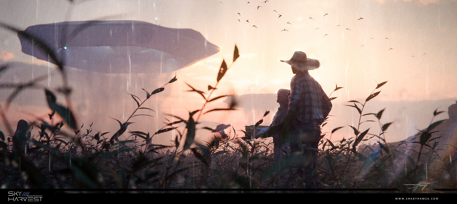 Shady Hamza_Sky Harvest_Keyframe Close up Shady Hamza_Sky Harvest_Keyframe Close up
